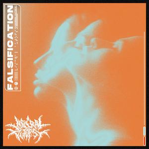 Falsification