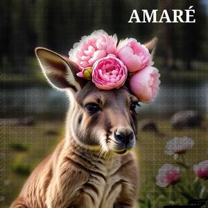 AMARÉ