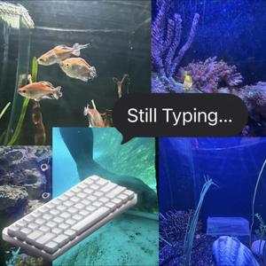 Still Typing...