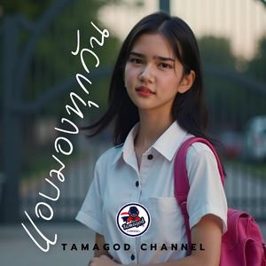 แอบมองทุกวัน