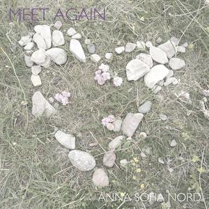 Meet Again
