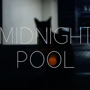 Midnight Pool feat.敌律师