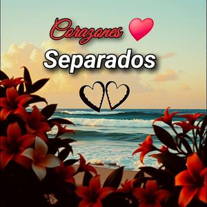 Corazones Separados