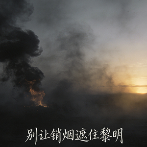 别让硝烟遮住黎明