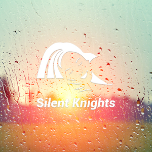 Rain On an Umbrella By the Ocean