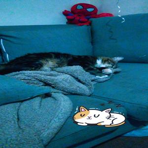 heartbroken as you're healing