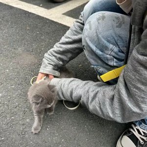 悲观