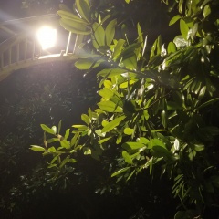 我不是你的宋冬野