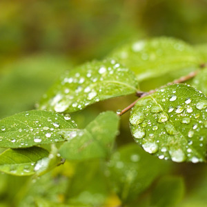 雨上がりの空に (Instrumental)