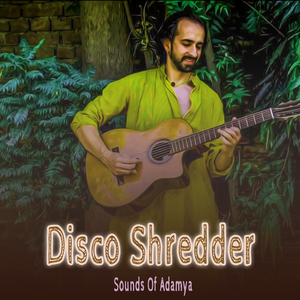Disco Shredder