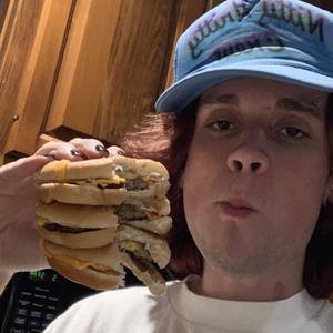 Alucard (feat. Shino)