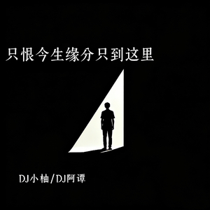 只恨今生缘分只到这里(DJ版)