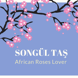 African Roses Lover