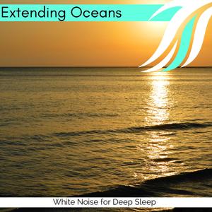 Nature Love of Coniferous Forest