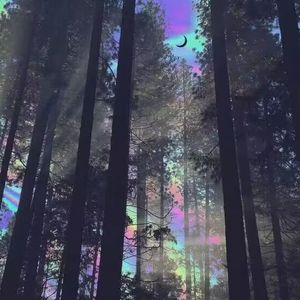 Out Of The Wood