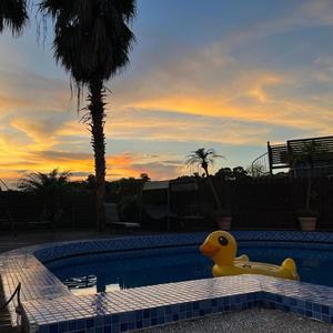 對自己好一點 (feat. Suno Vocal)