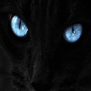 Beat dembow dominicano 2023