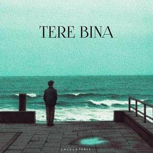 Tere Bina