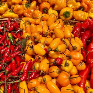 絶品ササミ入りペペロンチーノ (Delicious Chicken Tender Peperoncino Food Music)