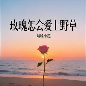 玫瑰怎会爱上野草