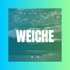 谢谢您的爱 (Remix)