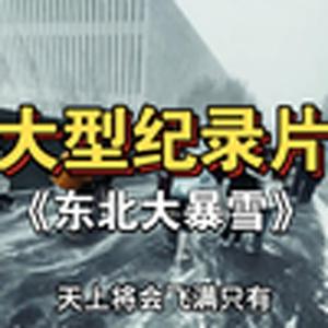 大型纪录片《东北大暴雪》
