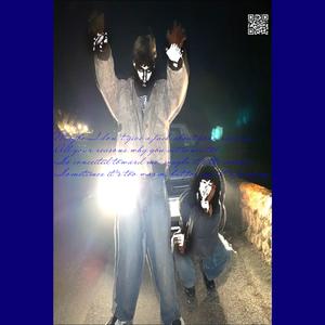 Fun :) (feat. luvdigi)