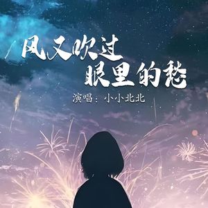 风又吹过眼里的愁