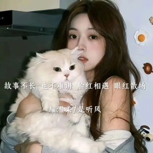 飞鸟和婵 DJ版