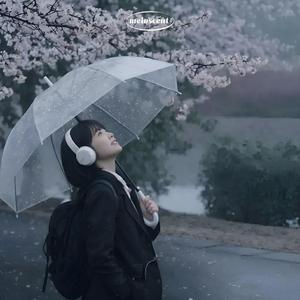 We Met in the Rainlight