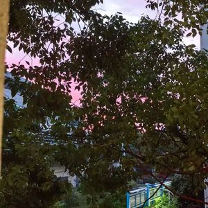 HnVideoEditor_2025_06_27_223204579