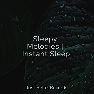 Whispers of the Windfall