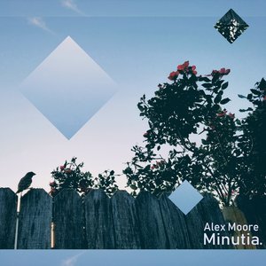 Minutia.
