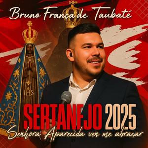 Senhora Aparecida vem me abraçar - Sertanejo 2025