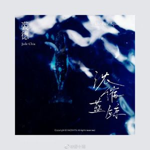 浓缩蓝鲸