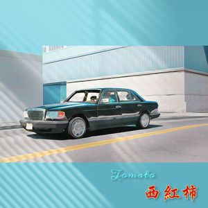 《汤米蓝衬衫》