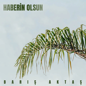 Haberin Olsun