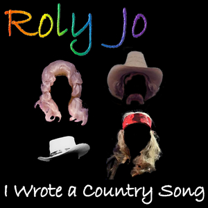 I Wrote a Country Song