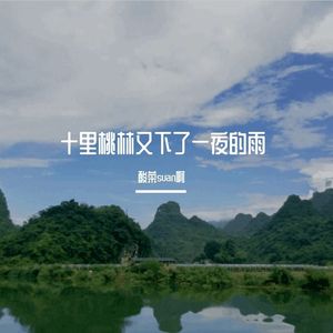 十里桃林又下了一夜的雨-整曲