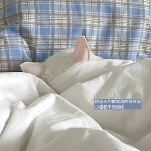 右边的你