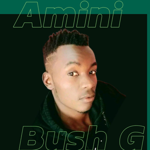 Amini