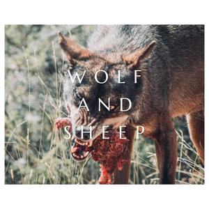 Wolf and Sheep