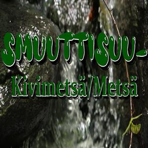 Metsä