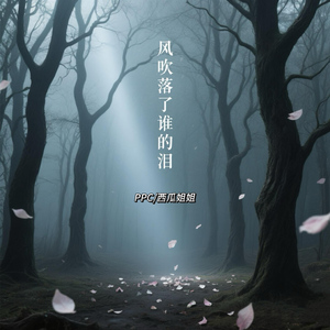 风吹落了谁的泪