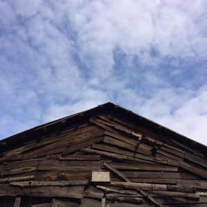 总有一个元旦至今难忘