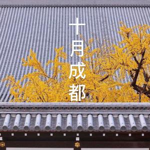 十月成都