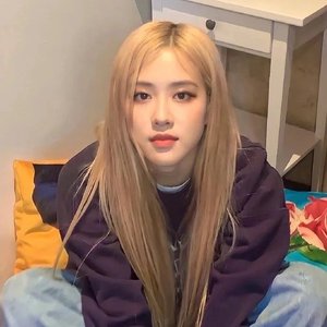 玫瑰市长(变速版)