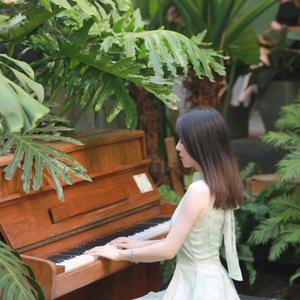 静逸森林的旋律