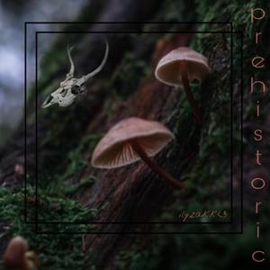 Prehistoric