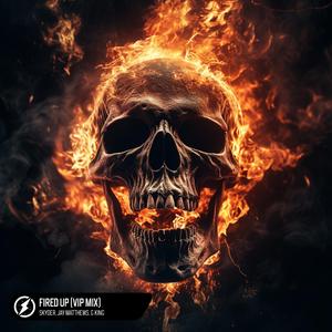 Fired Up (VIP Mix)
